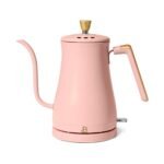 Electric Gooseneck Kettle